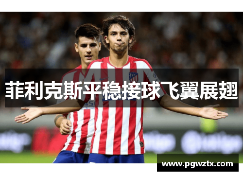 菲利克斯平稳接球飞翼展翅